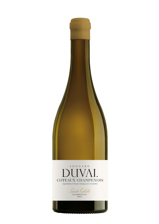 Coteaux Champenois Blanc